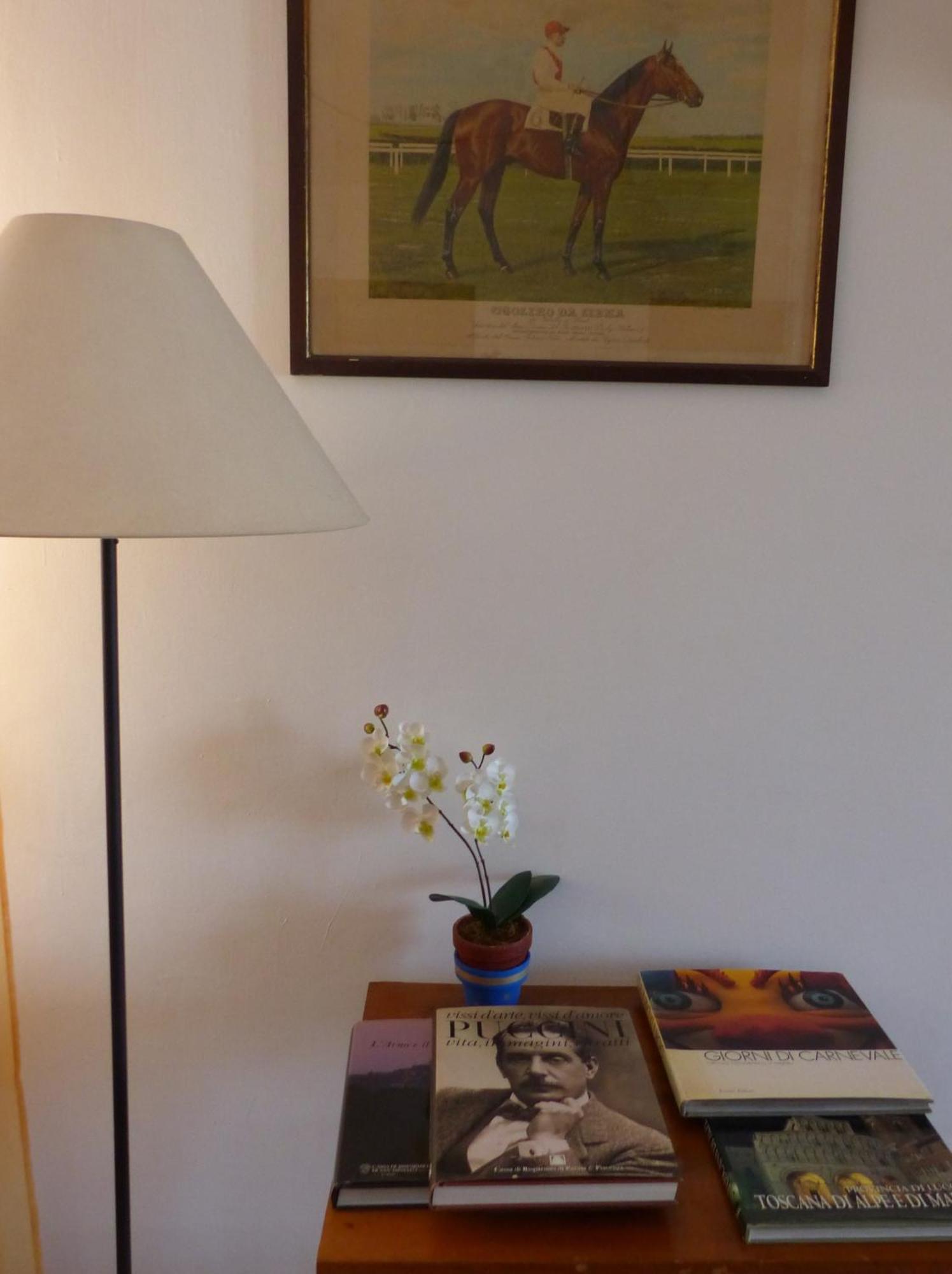 La Casa Di Silvia Daire Massarosa Dış mekan fotoğraf
