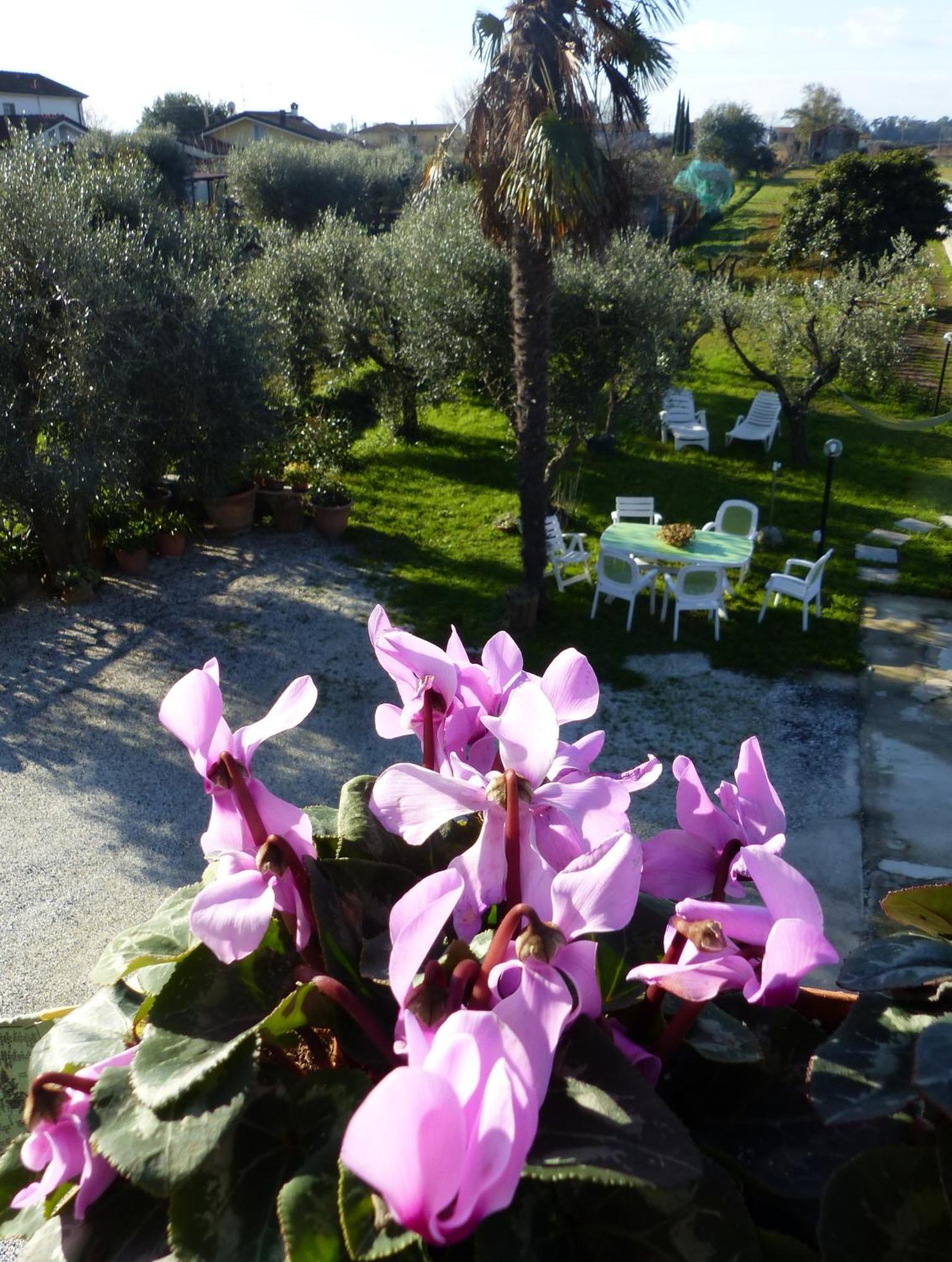 La Casa Di Silvia Daire Massarosa Dış mekan fotoğraf